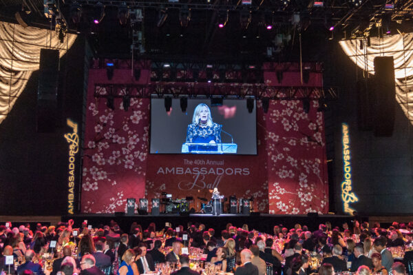 2018 Ambassadors Ball. Photo Credit: Tony Powell.